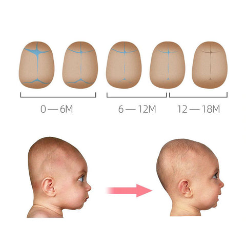 Bluebird Baby Head Shaping Pillow - Preventing Flat Head Syndrome
